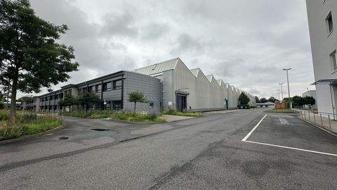 Ladenburg Halle, Ladenburg Hallenfläche