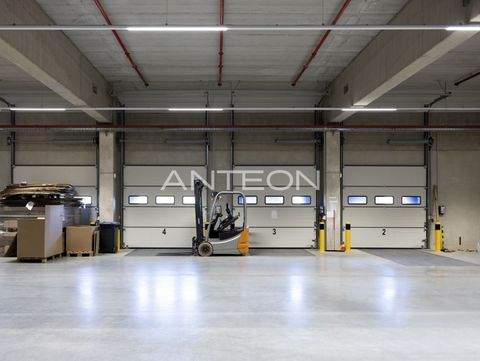 Dortmund Halle, Dortmund Hallenfläche