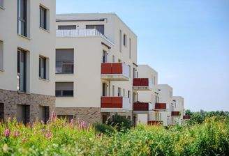 250617_Kleekamp_JS_082