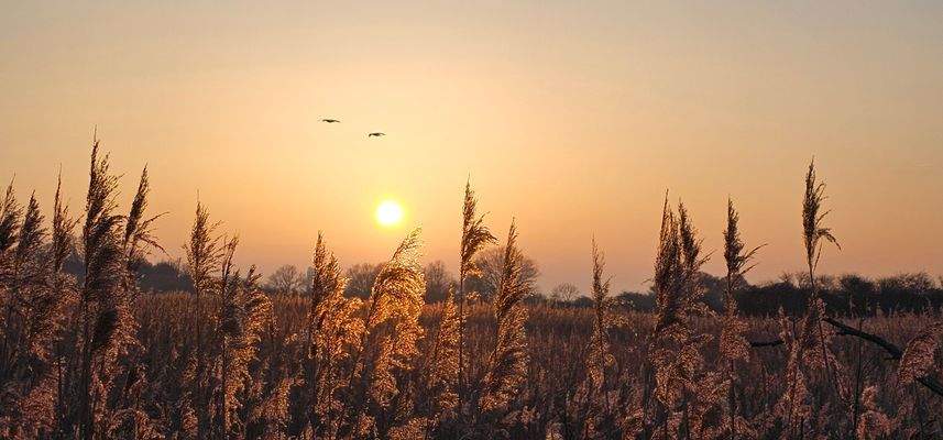 Auf dem Weg zum Meer