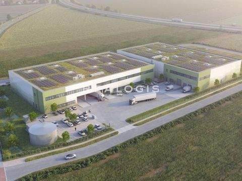 Langweid am Lech Halle, Langweid am Lech Hallenfläche