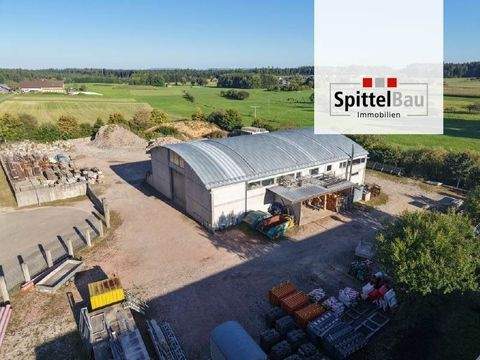 Schramberg Halle, Schramberg Hallenfläche