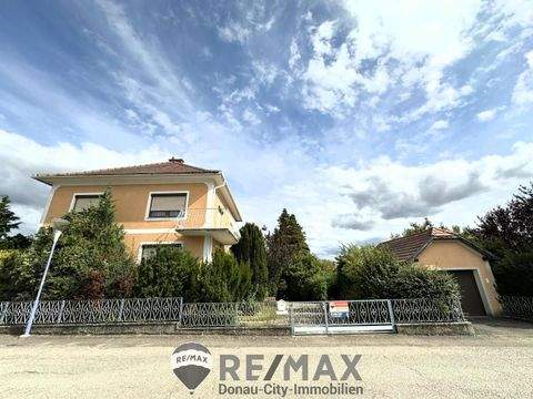 Maissau Häuser, Maissau Haus kaufen