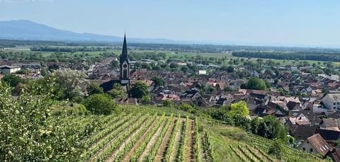 Breisach Ladenlokale, Ladenflächen 