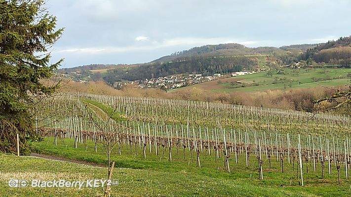 Blick auf Hohenklingen
