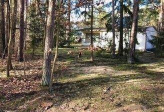 Grundstücksansicht + Bungalow