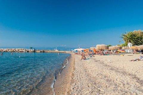 Thassos Bauernhöfe, Landwirtschaft, Thassos Forstwirtschaft