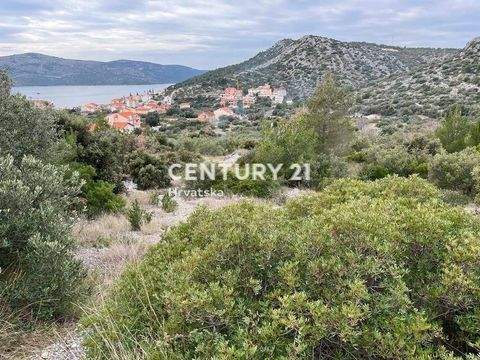 Trogir Bauernhöfe, Landwirtschaft, Trogir Forstwirtschaft