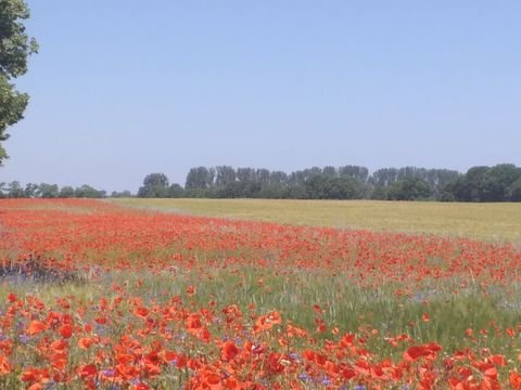 Fehrbellin Grundstücke, Fehrbellin Grundstück kaufen