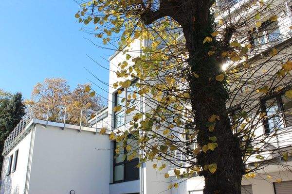 Gebäudeansicht mit Dachterrasse