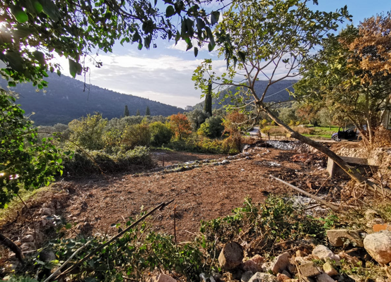 Bildschirmfoto 2025-07-02 um 19.54.07.png