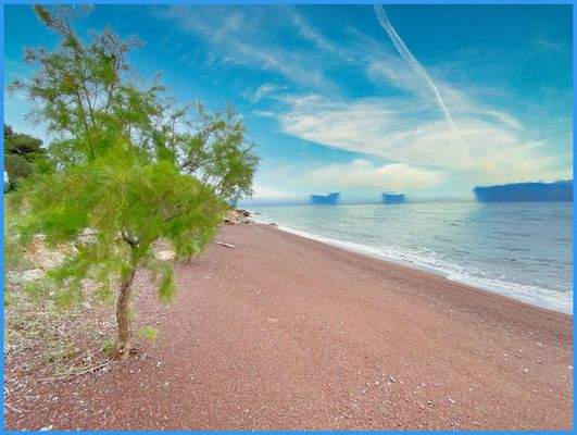 68f9c6cfc4b34c4aa494c1a110215f68-original