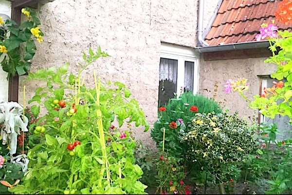 garten2