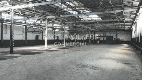 Oranienburg Halle, Oranienburg Hallenfläche