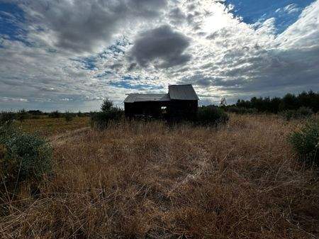 WhatsApp Bild 2025-09-29 um 17.27.02_7f35f015