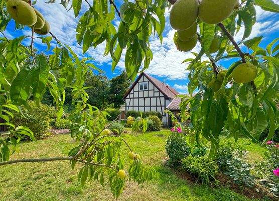 ...inkl. Obstgarten