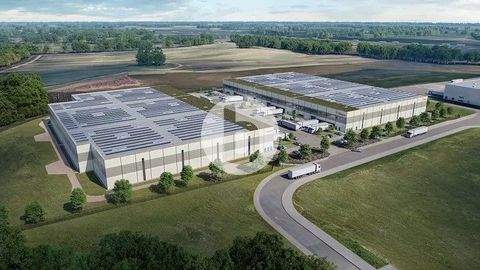 Bad Oldesloe Halle, Bad Oldesloe Hallenfläche