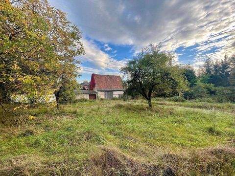 Walsdorf Grundstücke, Walsdorf Grundstück kaufen