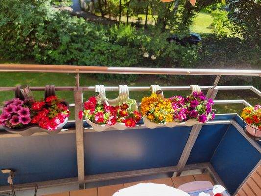 Balkon mit Blick ins Grüne.jpg