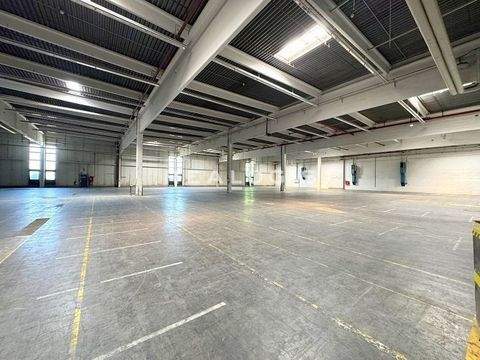 Augsburg Halle, Augsburg Hallenfläche