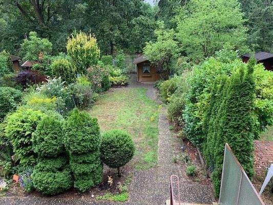 Blick in den Garten