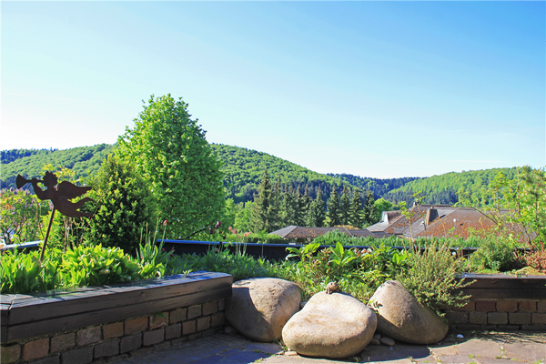 Terrassen-Ausblick in die Natur