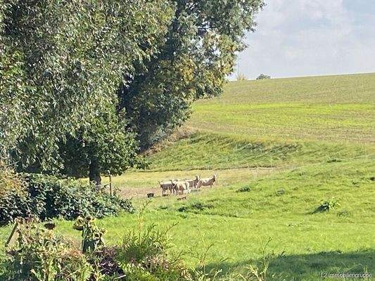 Grundstück mit Weitblick