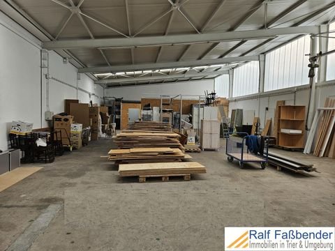 Trier Halle, Trier Hallenfläche