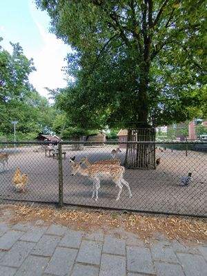 Ferienhaus Holland kaufen 007