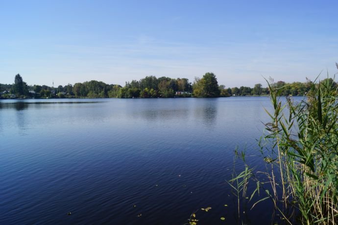 Ruhig gelegenes Gartengrundstück nahe Wolziger See in Heidesee