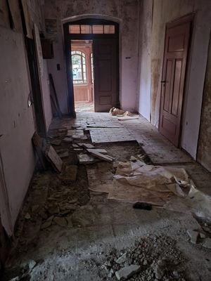 754fa900-f578-4318-97f1-26ae9d6aad68.jpg