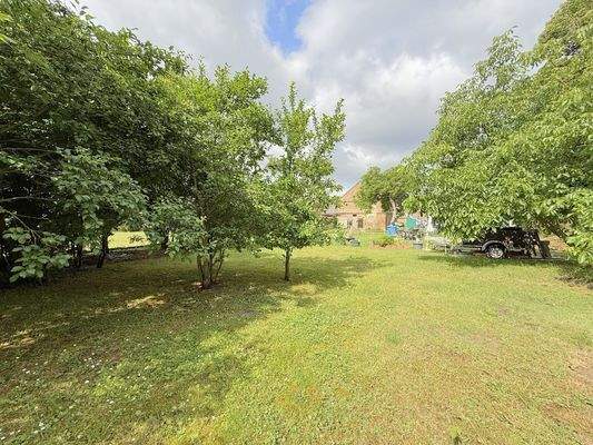 Freifläche im Garten