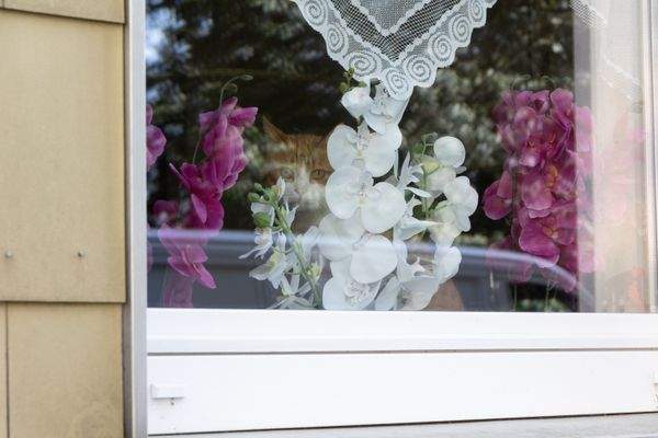 Bezaubernde Nachbarschaft.jpg