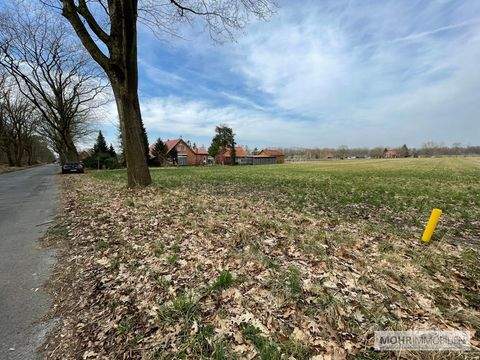 Esterwegen Grundstücke, Esterwegen Grundstück kaufen