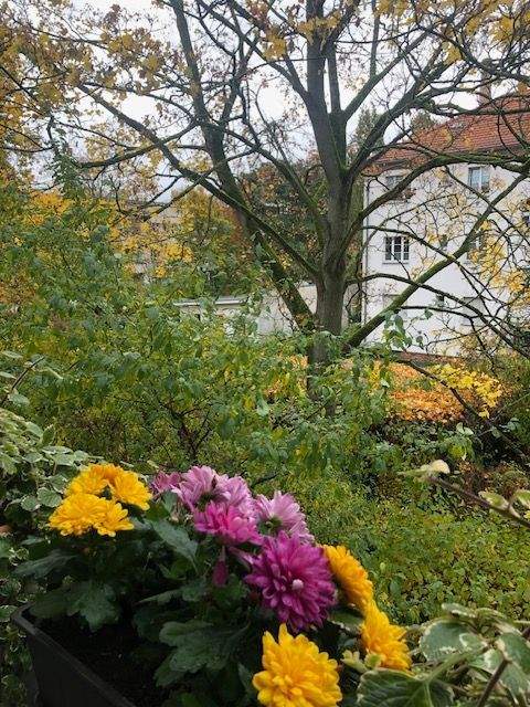 Berlin Wohnungen, Berlin Wohnung kaufen
