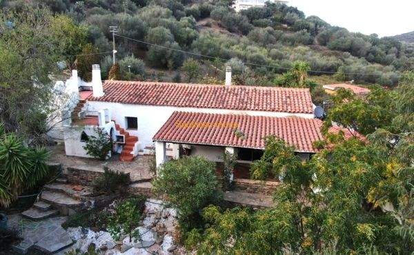 Stazzu mit Charme.20.jpg