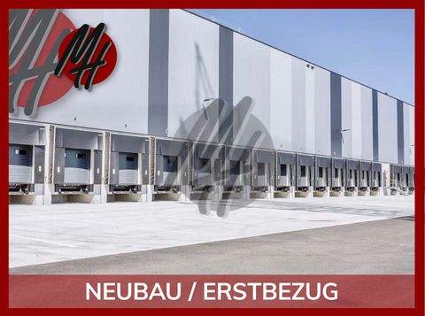 Grünstadt Halle, Grünstadt Hallenfläche