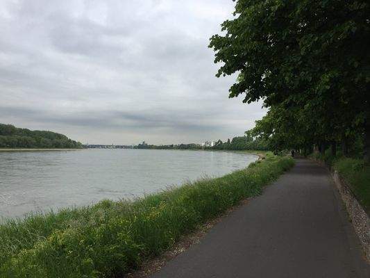 Rheinlandschaft