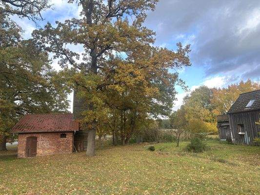 Blick ins Grundstück