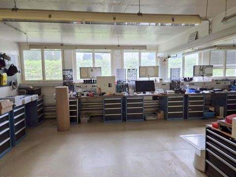 Lörrach Halle, Lörrach Hallenfläche