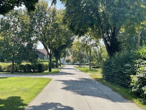 Wallersdorf Bauernhöfe, Landwirtschaft, Wallersdorf Forstwirtschaft