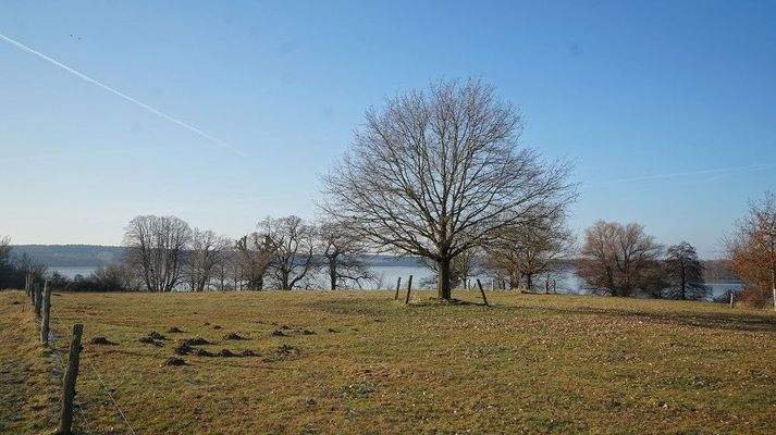 Blick zum Krakower Obersee