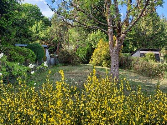 Blick ins Hausgrundstück 2