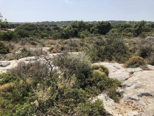 Kreta, Gerani: Erstklassiges Grundstück mit Meerblick nahe Rethymno zu verkaufen