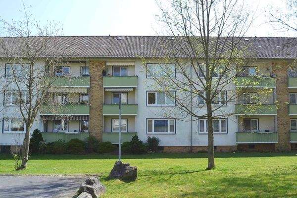 Birkenallee 97: Außenansicht über die Grünanlage auf die helle Fassade mit Balkonen eines mehrgeschossigen Wohngebäudes in Riegelbebauung.