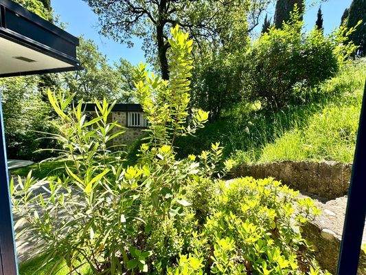 IMG_E8606 (Grande).JPG