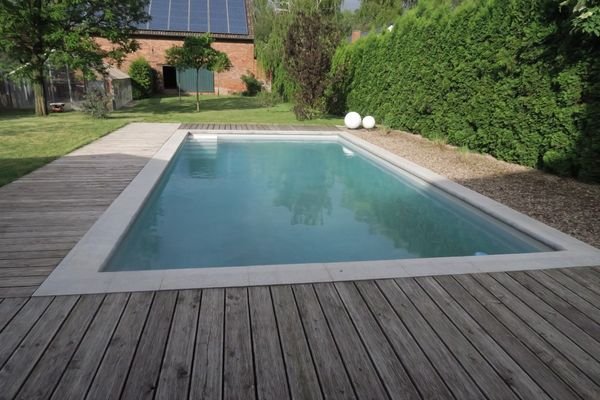 Pool im Garten