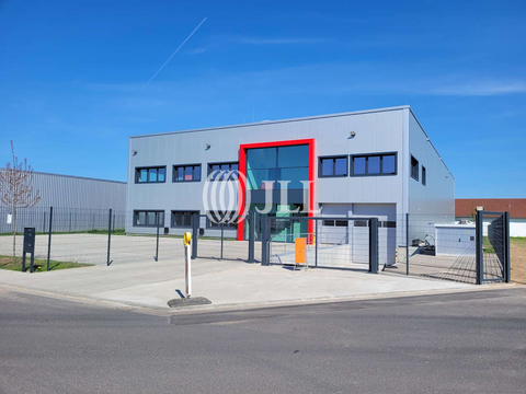 Babenhausen Halle, Babenhausen Hallenfläche