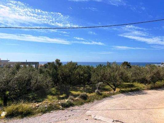 Südostkreta, Makry Gialos: Grundstück mit Meerblick zu verkaufen