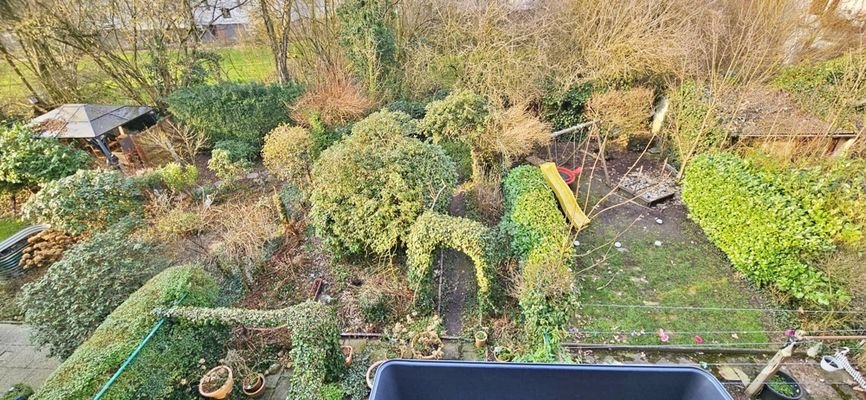 Blick in den Garten